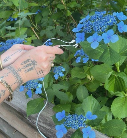 Recording plant sounds